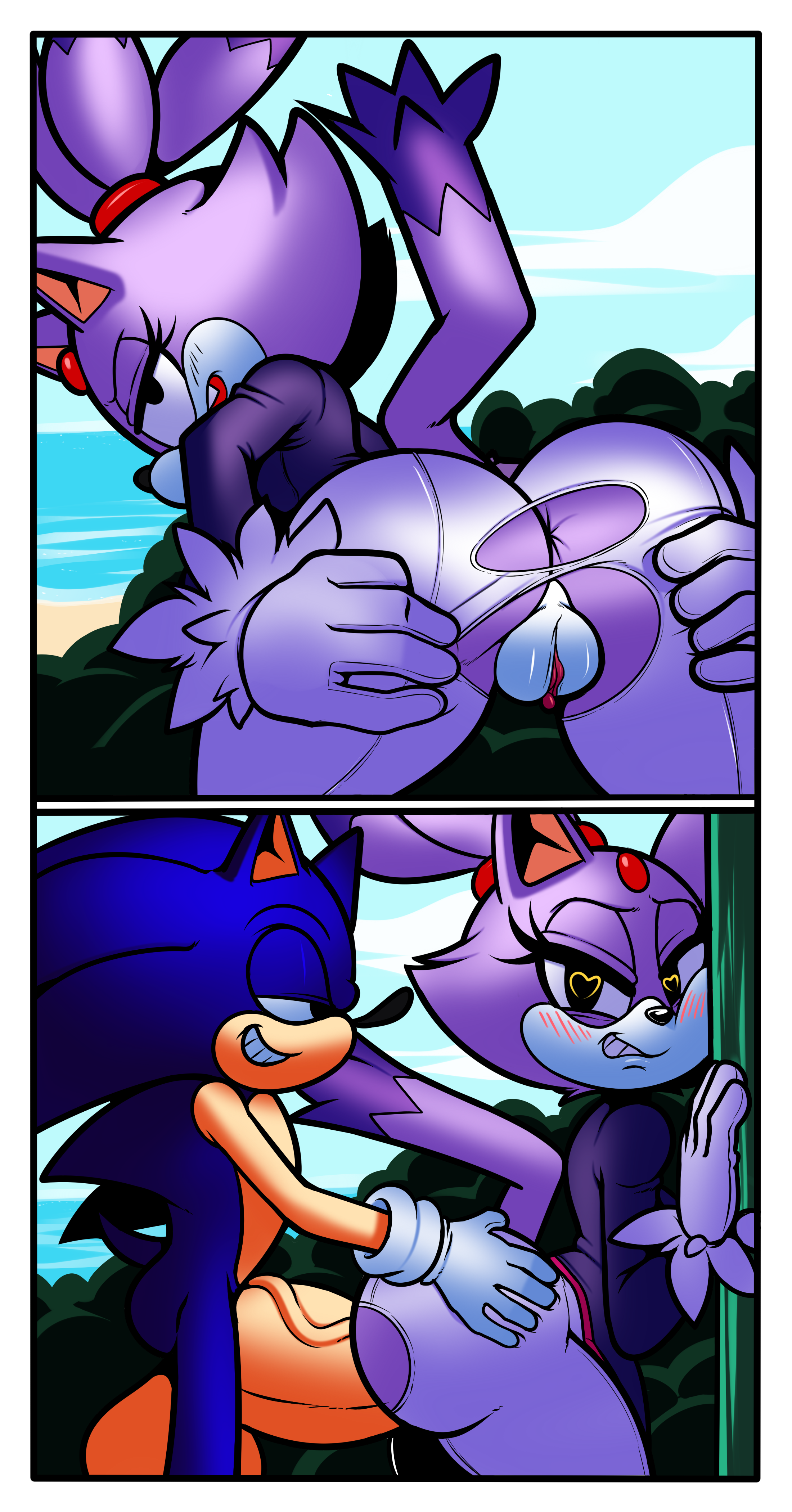 Sonic Blaze The Cat Porn Comix.