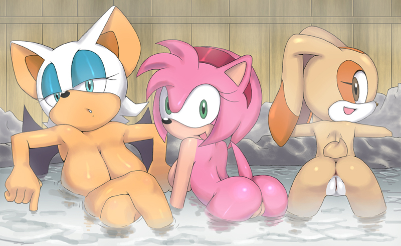 Amy hentai rouge sonic