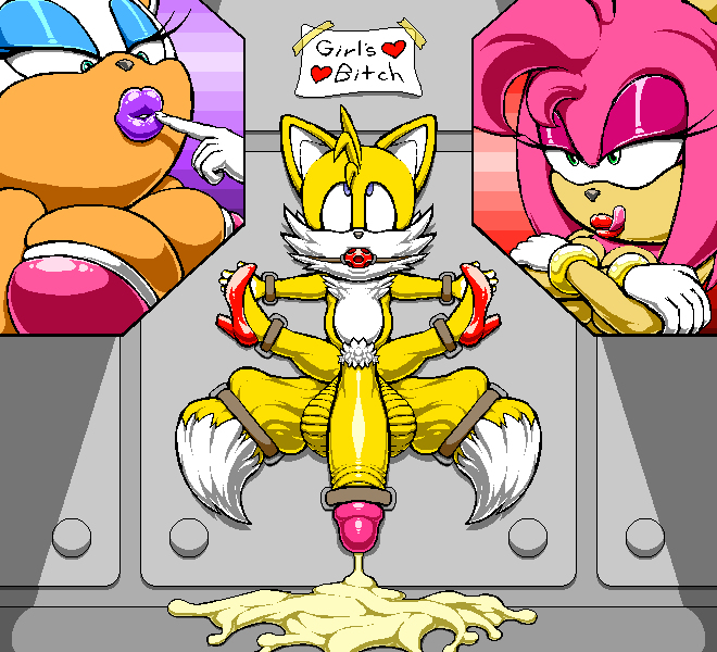 Rule If It Exists There Is Porn Of It Angelauxes Amy Rose